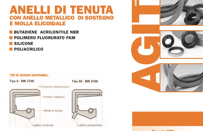 Anelli di tenuta con anello metallico di sostegno e molla elicoidale
